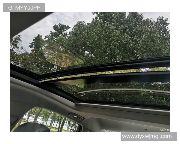 武汉排球队在联合会杯中的团队协作表现值得称赞与思考